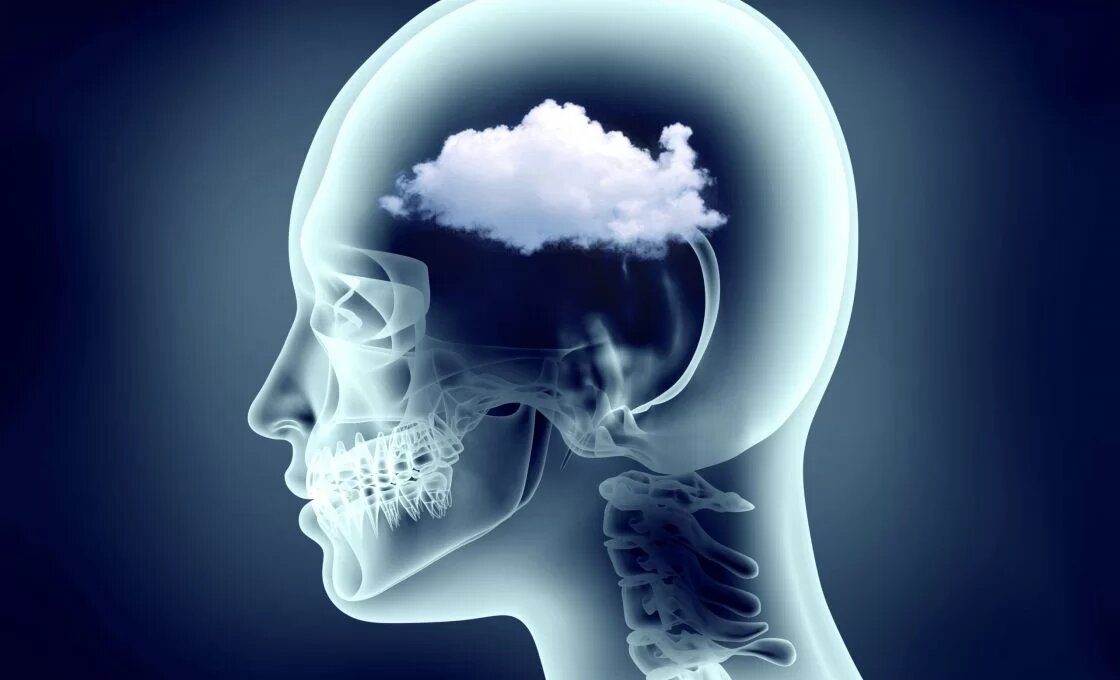 کشف شبکهای پنهان از هماهنگی در مغز