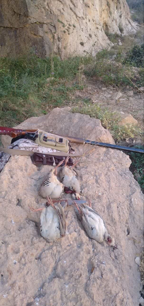 دستگیری شکارچی سابقهدار در منطقه حفاظت شده دنا + عکس