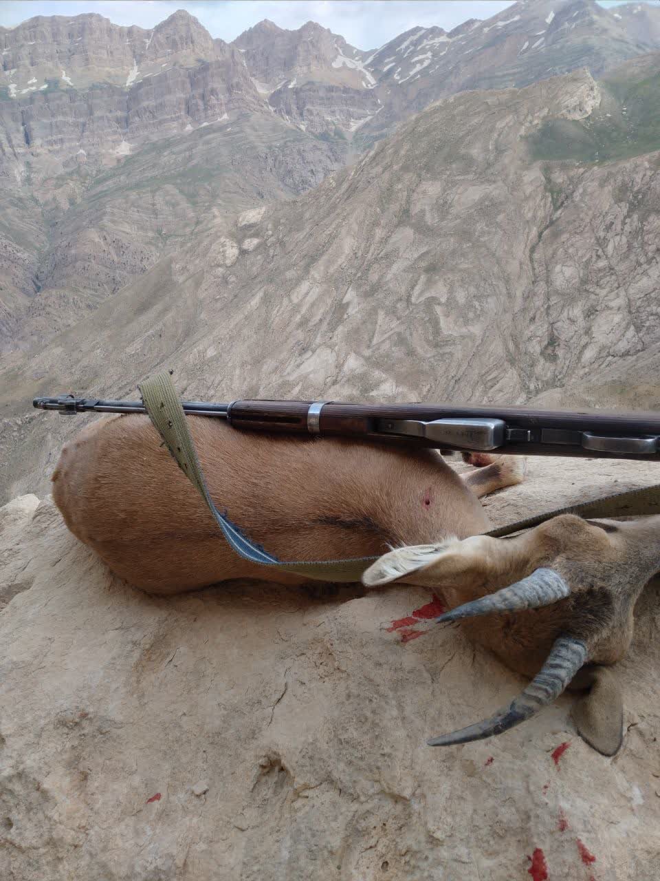 دستگیری شکارچی سابقهدار در منطقه حفاظت شده دنا + عکس