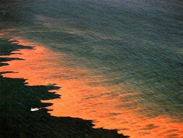 افزایش جذب دیاکسید کربن از جو با افزودن آهن به اقیانوسها