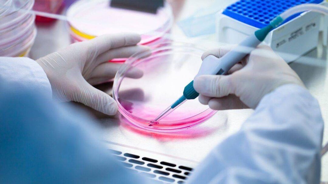 از عفو بیش از ۲۸۰۰ محکوم تا محکوم کردن فعالیتهای شرورانه رژیم اسرائیل توسط ایران