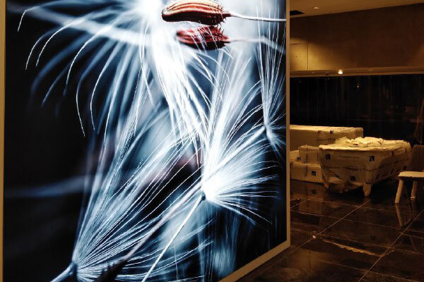 دنیای رنگارنگ لایت باکس ها: با انواع این تابلو های تبلیغاتی آشنا شوید دنیای رنگارنگ لایت باکس ها: با انواع این تابلو های تبلیغاتی آشنا شوید