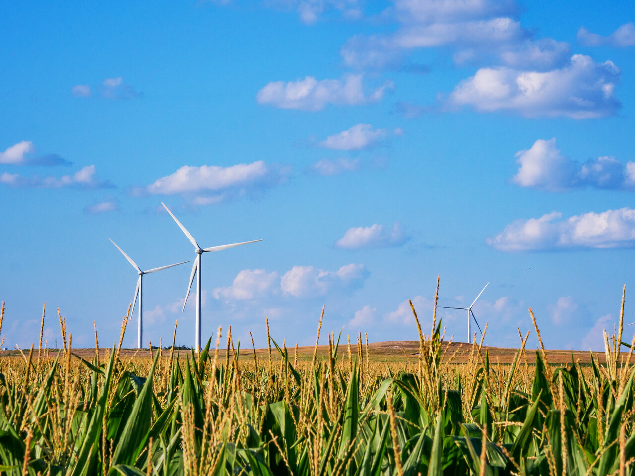 حذف قبض مصرف انرژی در خانههای بریتانیایی/ راهاندازی کافه تعمیرات در برلین