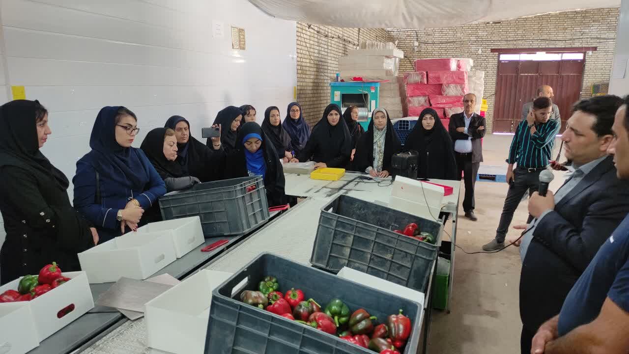 دومین واحد سرتینگ و بسته بندی در چهارمحالوبختیاری افتتاح میشود