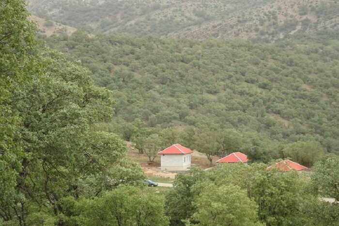 جنگلهای زاگرس و سخاوت هزاران ساله بلوطها