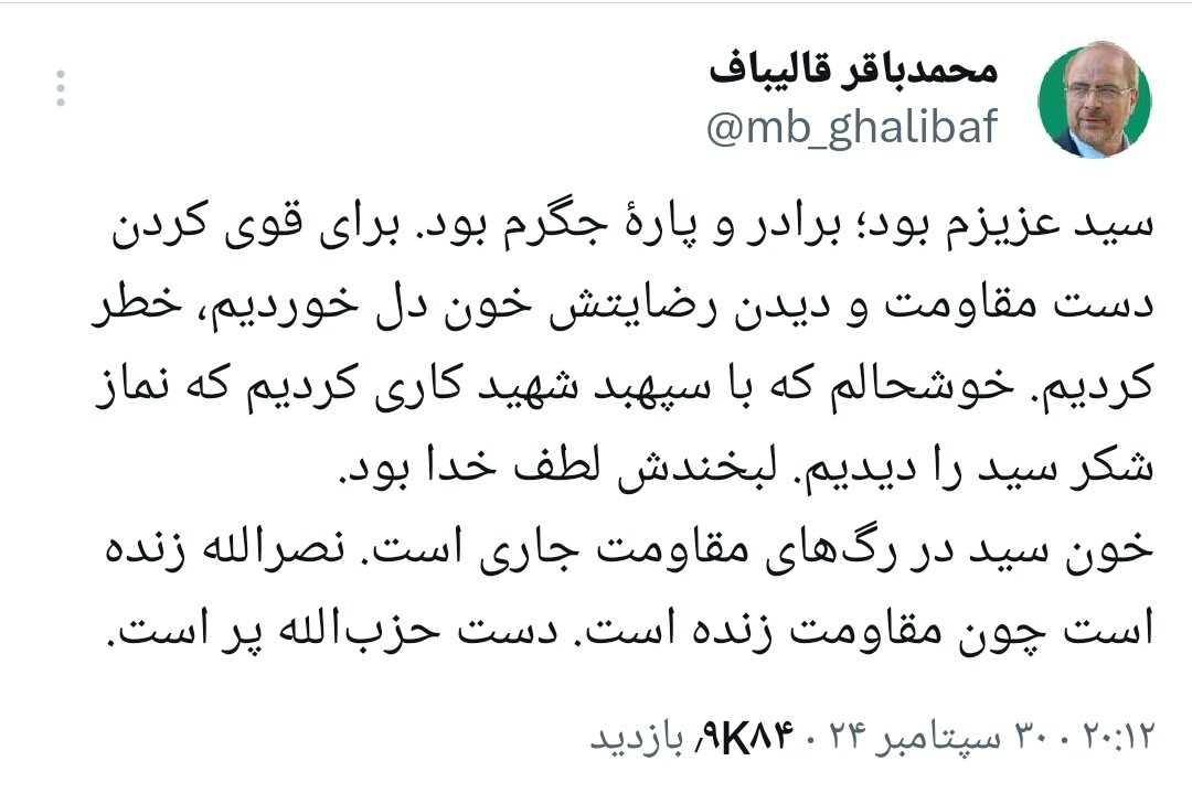 سید حسن نصرالله برادر و پارهٔ جگرم بود/ دست حزبالله پر است