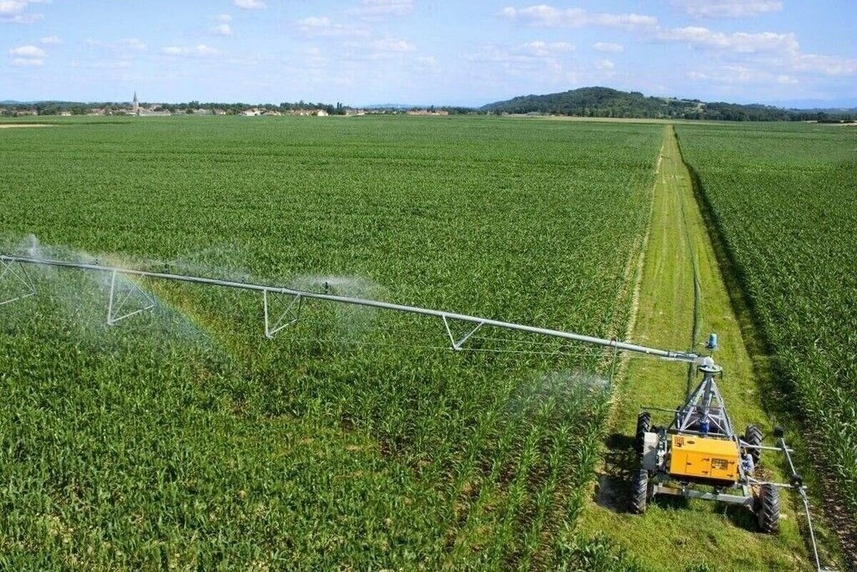 آب رفته از زمینهای کشاورزی/چشمانداز مبهم بزرگترین مصرفکننده آب