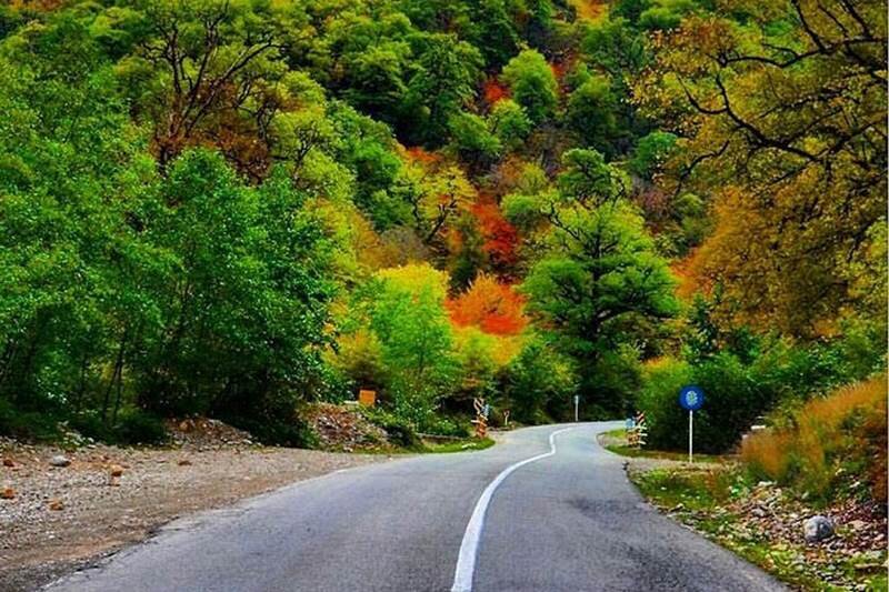 سفری به دل جنگلهای پاییزی