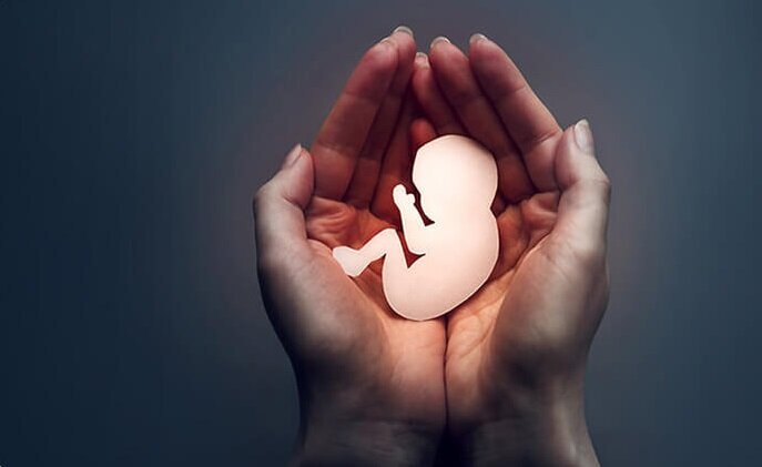 از پرداخت تسهیلات فرزندآوری تا جهش بزرگ در فوتسال زنان