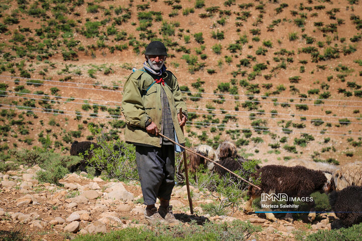 "Kooch: The Timeless Journey of Iran's Nomadic Tribes Through Seasons and Heritage"