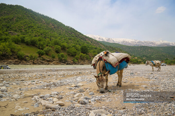 صفای زندگی در روستا و ایل