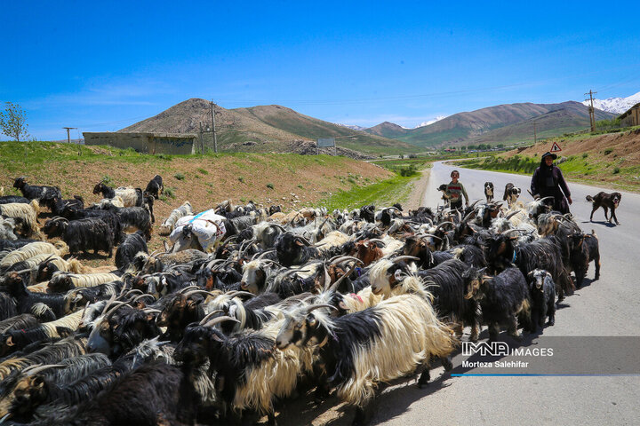 "Kooch: The Timeless Journey of Iran's Nomadic Tribes Through Seasons and Heritage"