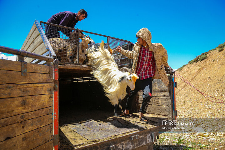 "Kooch: The Timeless Journey of Iran's Nomadic Tribes Through Seasons and Heritage"