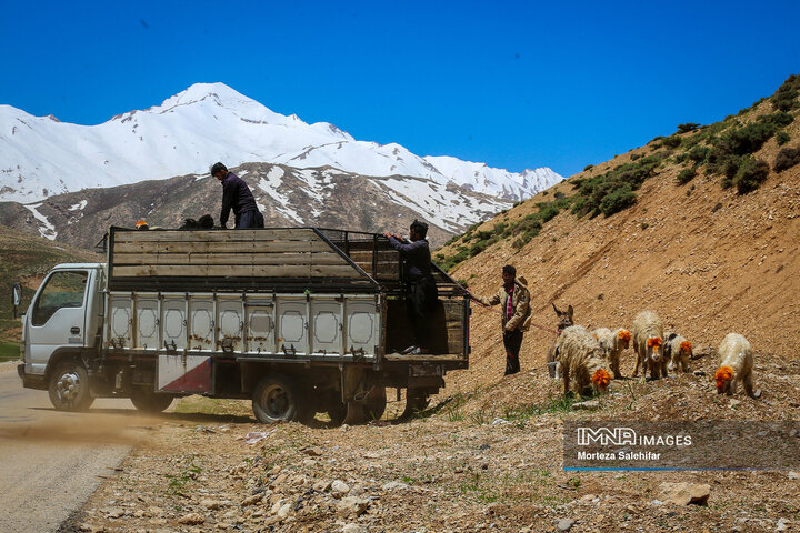 صفای زندگی در روستا و ایل