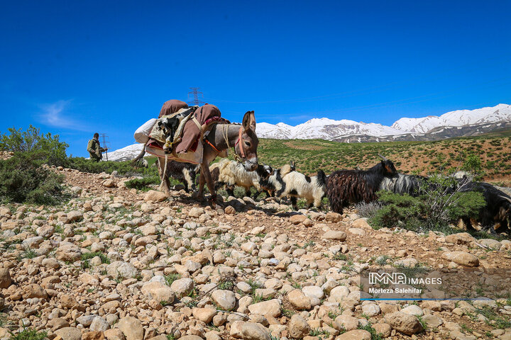 "Kooch: The Timeless Journey of Iran's Nomadic Tribes Through Seasons and Heritage"