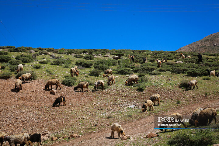 "Kooch: The Timeless Journey of Iran's Nomadic Tribes Through Seasons and Heritage"