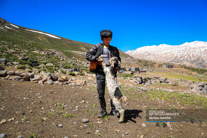 "Kooch: The Timeless Journey of Iran's Nomadic Tribes Through Seasons and Heritage"