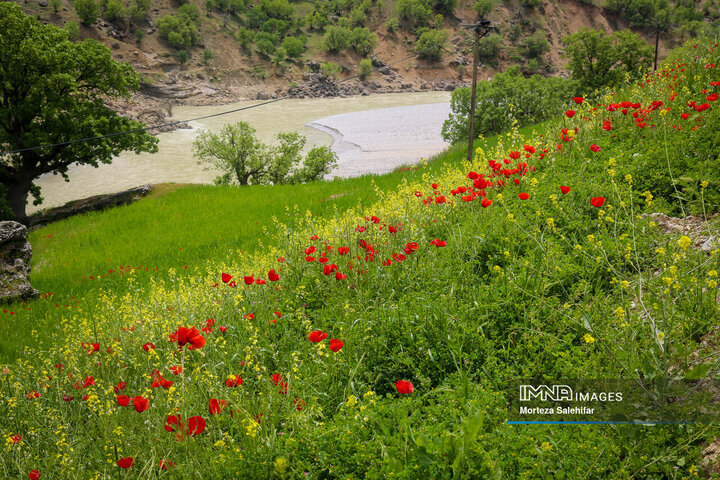 صفای زندگی در روستا و ایل