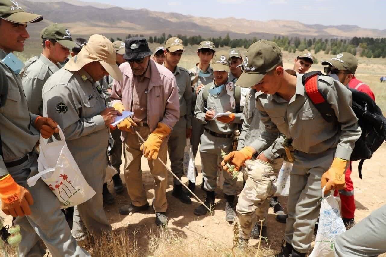 از گسترش تجارت ایران تا هزینه سالگرد مادری که موجب آزادی یک زندانی شد