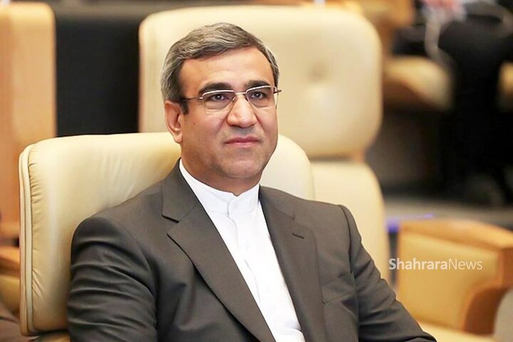 نگاه سیاسی به حوزه اقتصاد منجر به ناترازی می‌شود