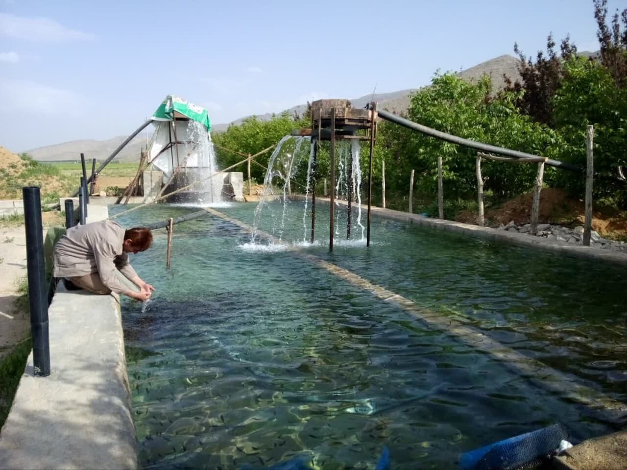 چالشهای شیلات در شرق اصفهان/ آیا پرورش ماهی جایگزین کشاورزی در شرق اصفهان میشود