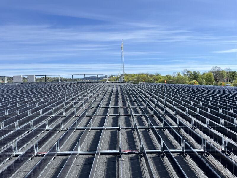 ظهور رقیب جدید برای پنلهای خورشیدی/ مقابله با بتنیشدن شهرها با سبزسازی هدفمند