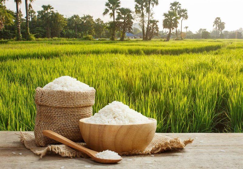 پایان دادن به گرسنگی جهانی با ابتکار کشاورزی