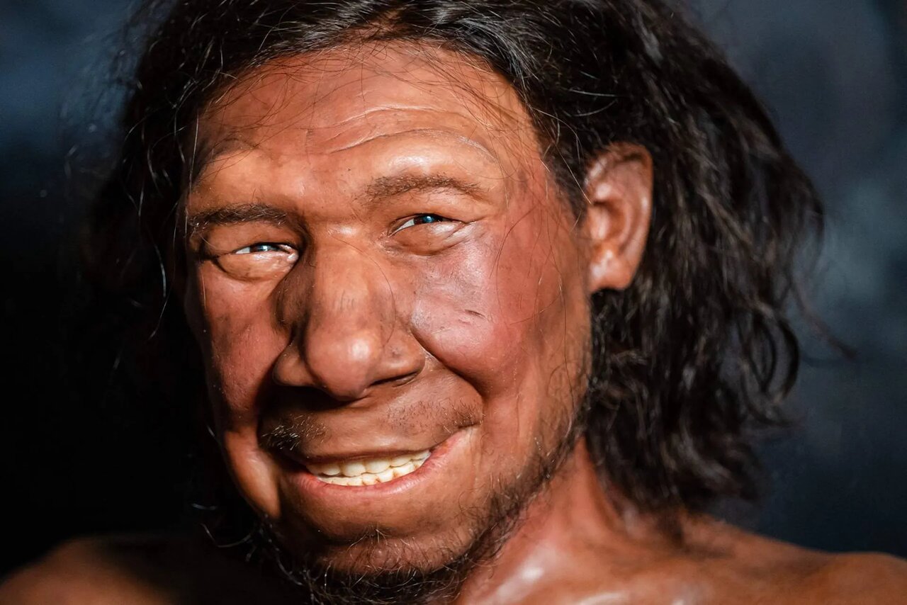 بزرگترین تفاوت انسانها و نئاندرتالها چه بود؟