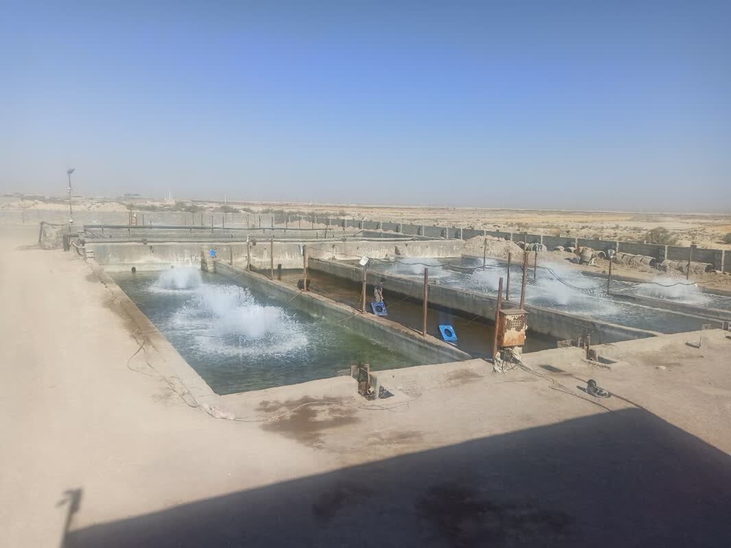 چالشهای شیلات در شرق اصفهان/ آیا پرورش ماهی جایگزین کشاورزی در شرق اصفهان میشود