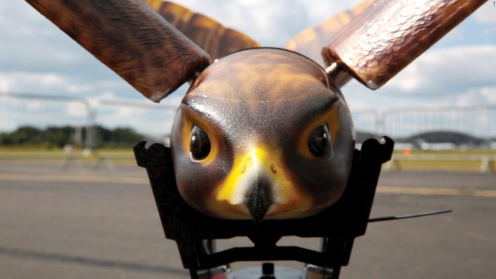 رقیب جدید توربینهای بادی سهپره/ ابتکار کپنهاگ برای ترویج گردشگری مسئولانه