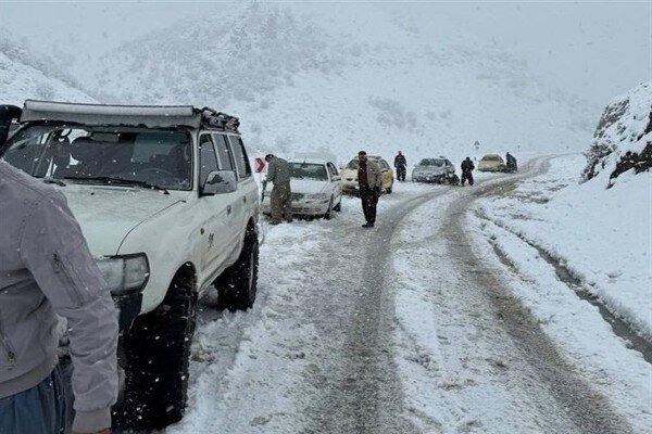 فیلم| برف و کولاک در جاده‌های کردستان