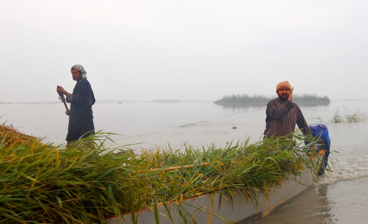 بازگشت حیات به تالاب هورالعظیم