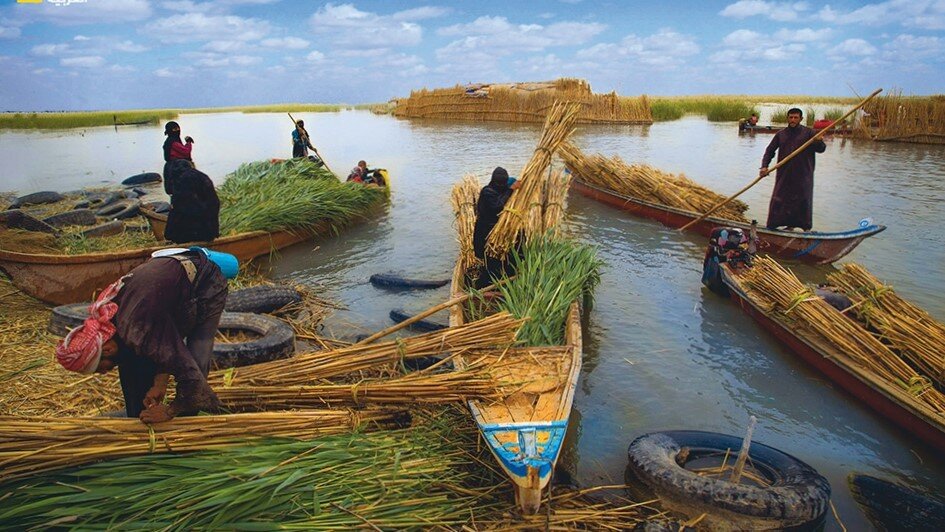 بازگشت حیات به تالاب هورالعظیم