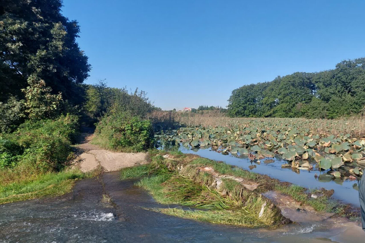برگزاری مانور پدافند زیستی پایش گونههای مهاجم در لاهیجان