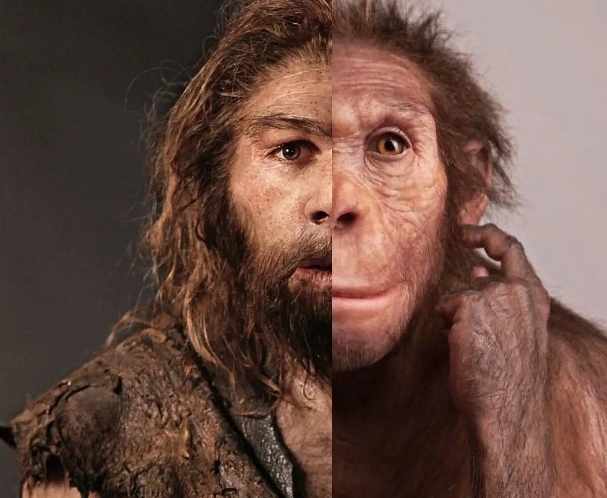 آزمایش مخفیانه انسان-شامپانزه / تولد و مرگ هیبرید انسان-شامپانزه در نخس