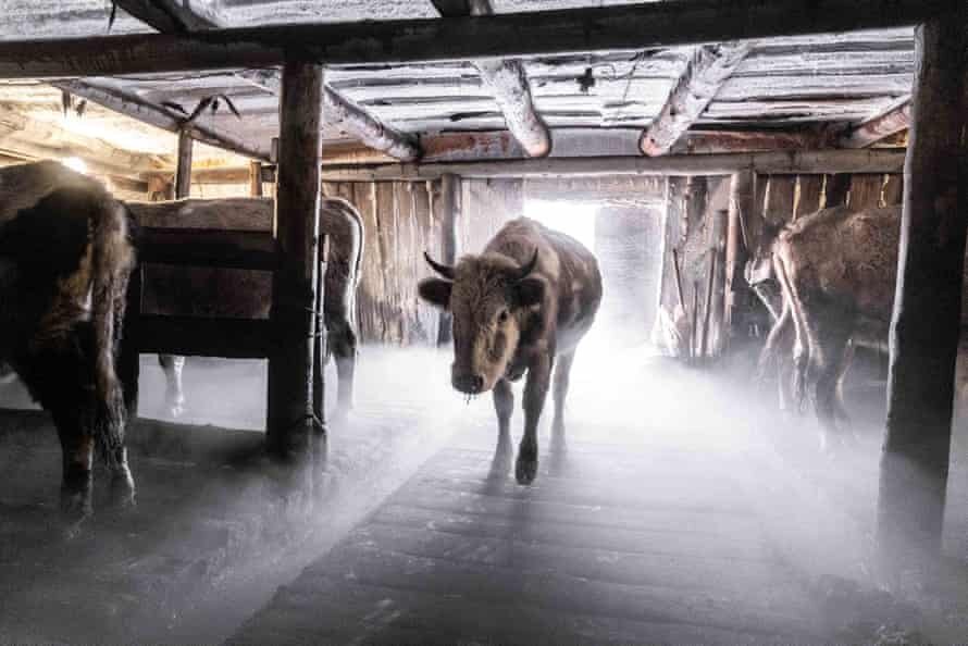 مردم در سردترین نقطه زمین چگونه زندگی میکنند؟