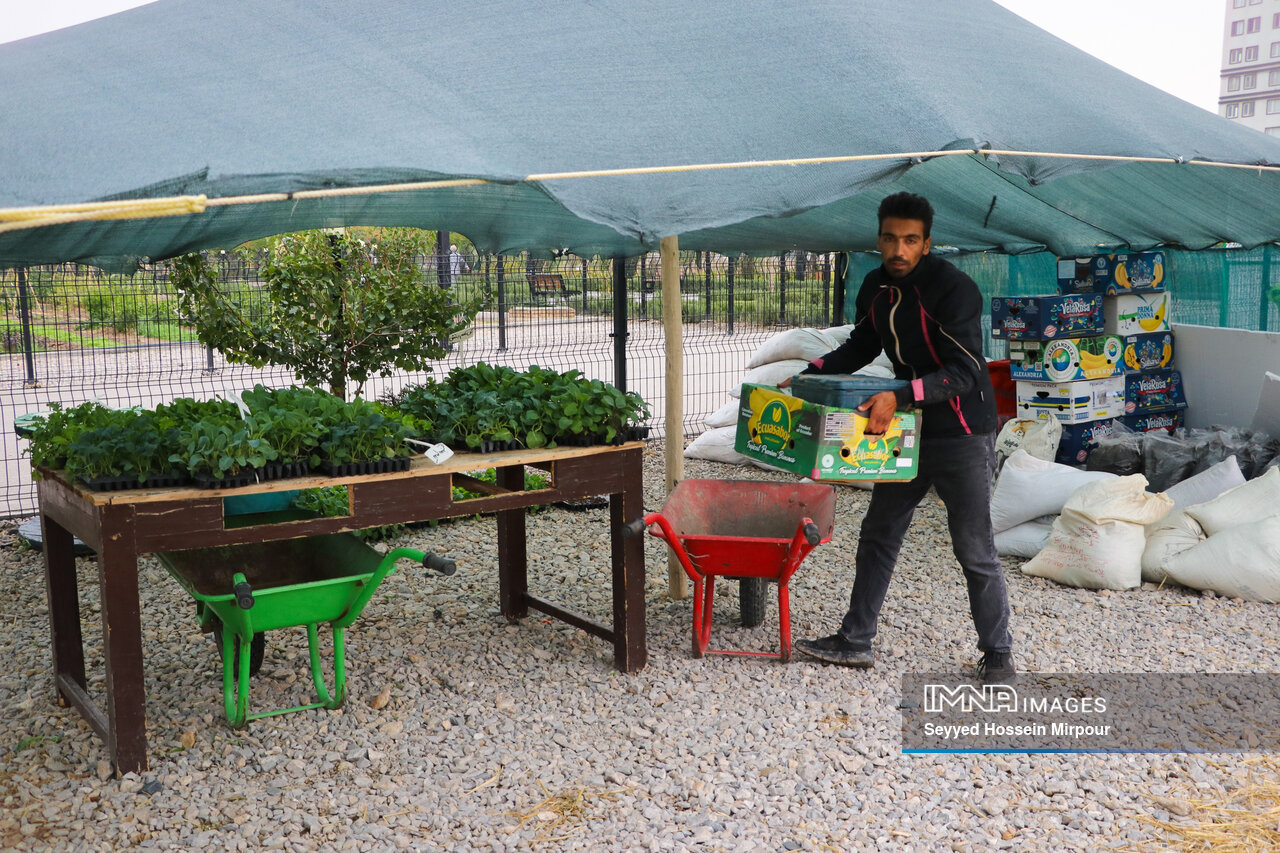 مزارع شهری مشهد، کشاورزی در قلب شهر