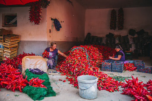 احیای زندگی روستایی؛ کلید توسعه پایدار