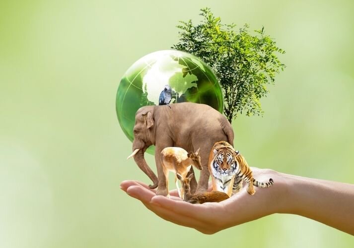 از درجهبندی حفاظتی ۴۵ غار تا راهاندازی پایگاه داده تنوع زیستی ایران