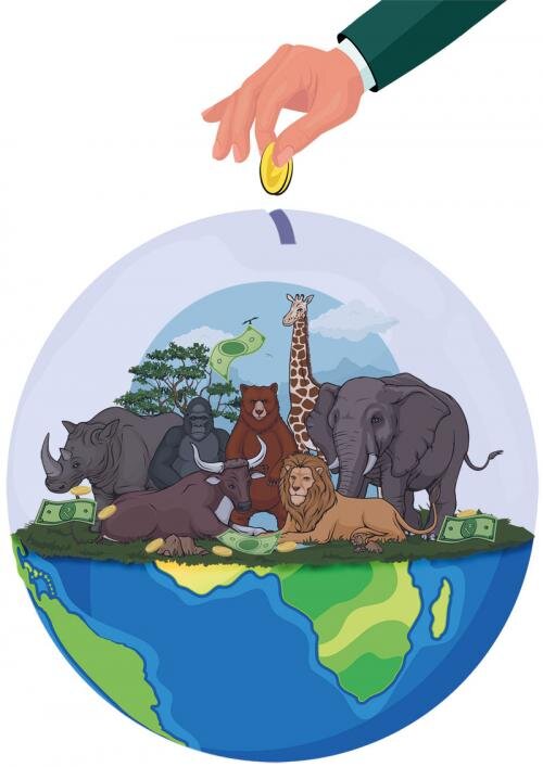 پیام امید ۶ کشور اروپایی برای حمایت از پروژههای تنوع زیستی