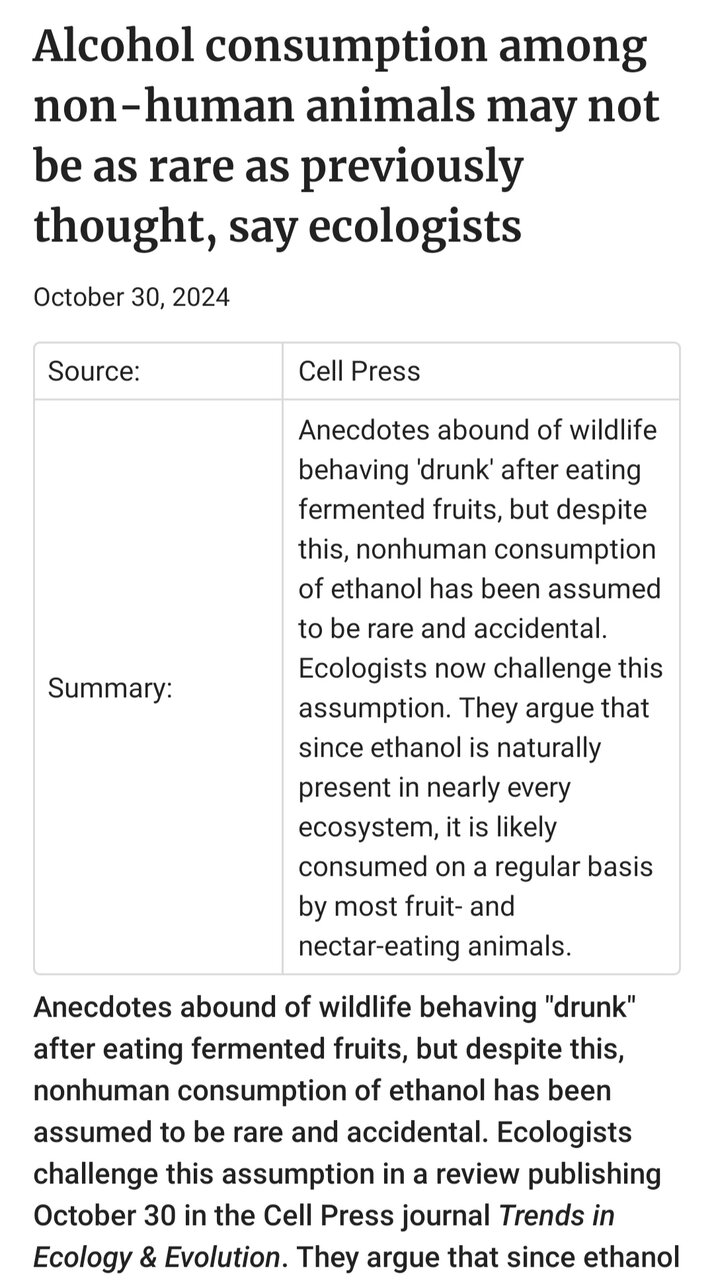 مگسهای مثل انسان ها لکل مصرف میکنند؟