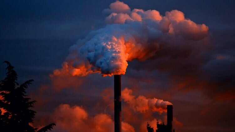 تبدیل ضایعات گیاهی به بیوچار؛ راهکار کاهش دیاکسید کربن