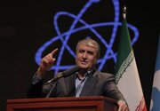 Iran Emerges as a Leader in Nuclear Technology, AEOI Chief Claims