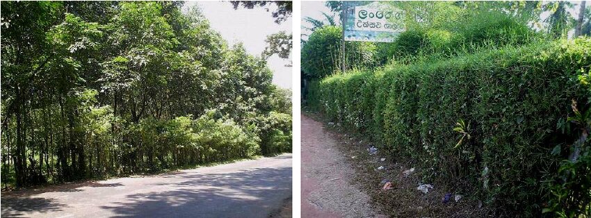 نبرد شهرهای پیشرو با آلودگی صوتی