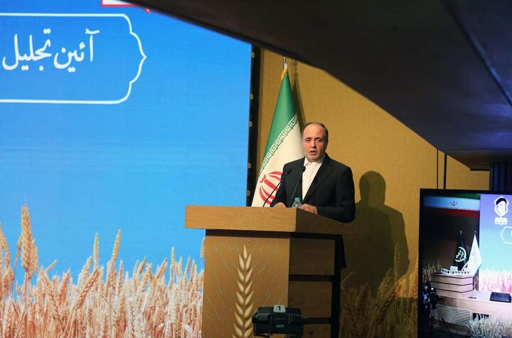 خودکفایی گندم با اجرای مرحله دوم طرح جهش تولید در دیمزارها ادامه پیدا میکند