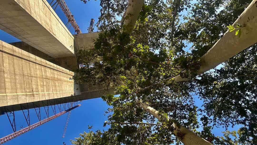 طرح بزرگراه شمالی یک سال دیگر به ثمر مینشیند