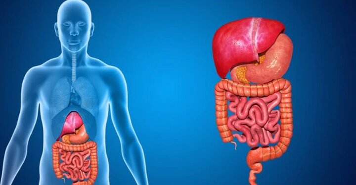 مزایا و دلایل استفاده از آندوسکوپی و کولونوسکوپی با بیهوشی مزایا و دلایل استفاده از آندوسکوپی و کولونوسکوپی با بیهوشی