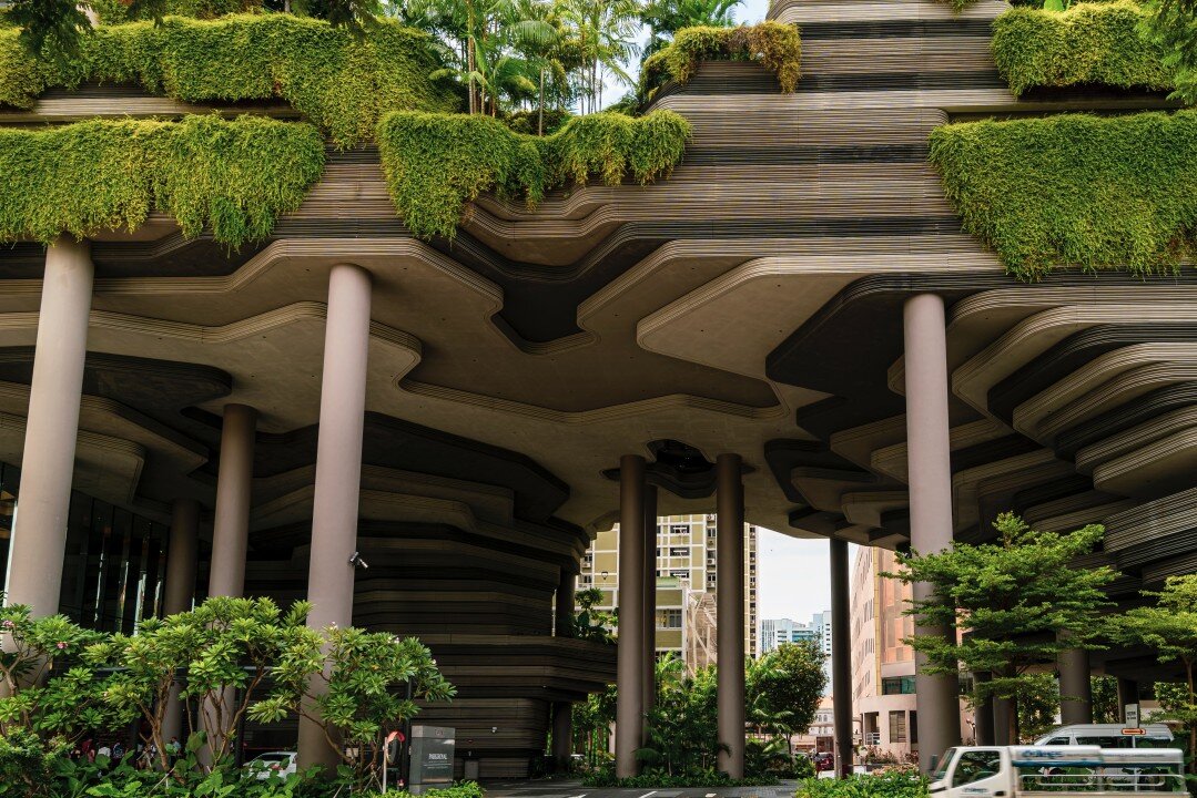 سلطهگری طبیعت در قلب شهرهای مدرن با طراحی بیوفیلیک