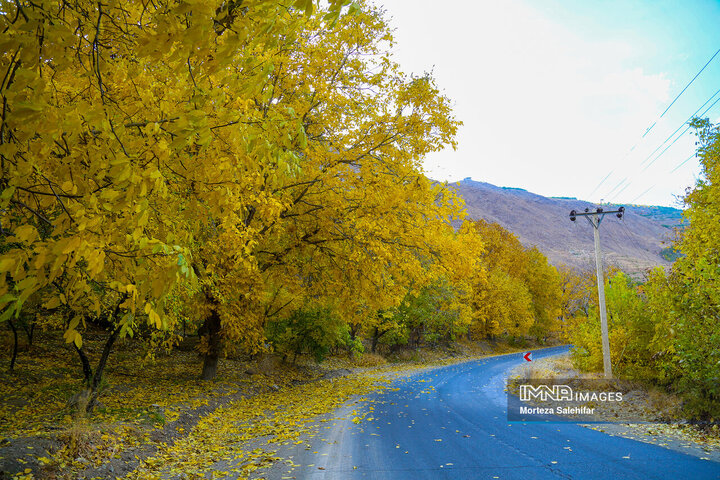 پاییز رنگارنگ سامان