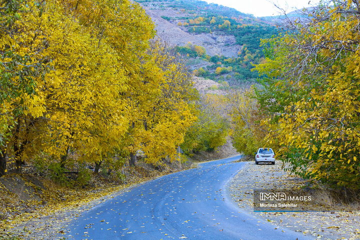 پاییز رنگارنگ سامان